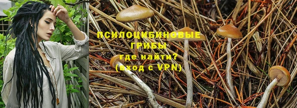 spice Балабаново