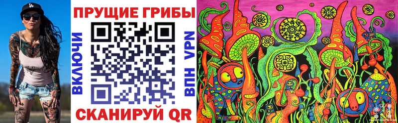 Галлюциногенные грибы Psilocybe  Томилино 